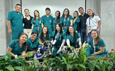 Club de Cuidadores impulsa el bienestar en el cuidado paliativo en un nuevo encuentro